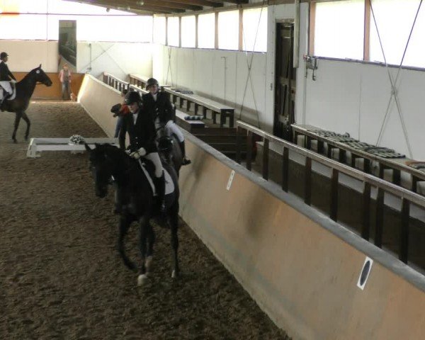 Reitturnier Hildesheim-Steuerwald 2024