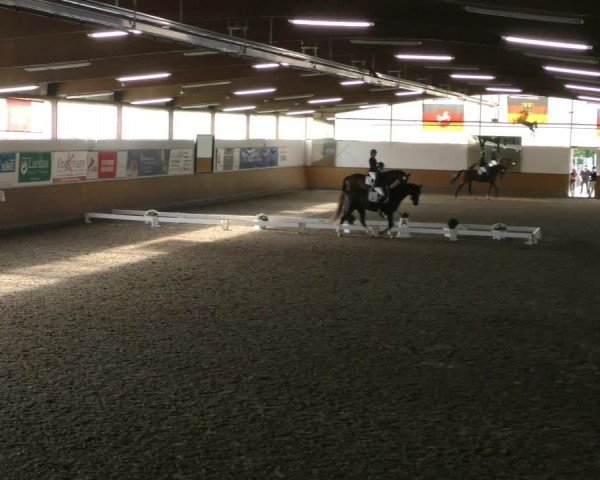 Reitturnier Hildesheim-Steuerwald 2024