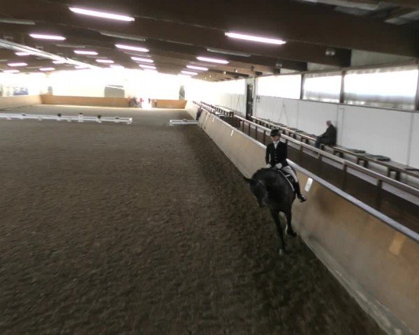 Reitturnier Hildesheim-Steuerwald 2024