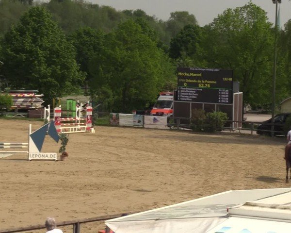 Reitturnier Kamen 2024