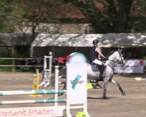Reitturnier Hildesheim-Steuerwald 2024