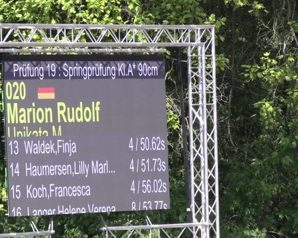 Reitturnier Hildesheim-Steuerwald 2024