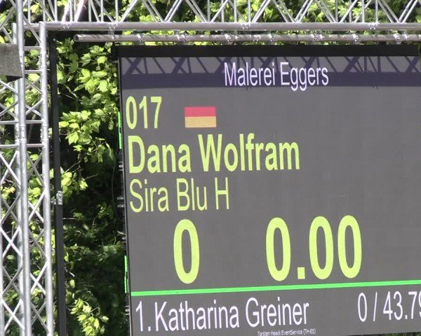 Reitturnier Hildesheim-Steuerwald 2024