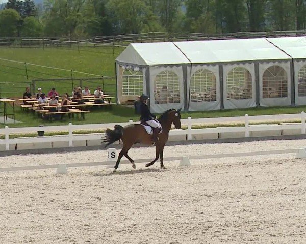Reitturnier Gut Bohmerhof-Wackersberg/Obb. 2024