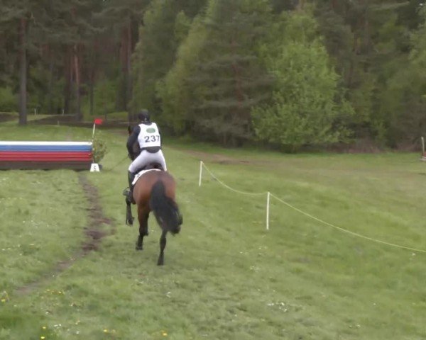 CCI2* Luhmühlen 2024