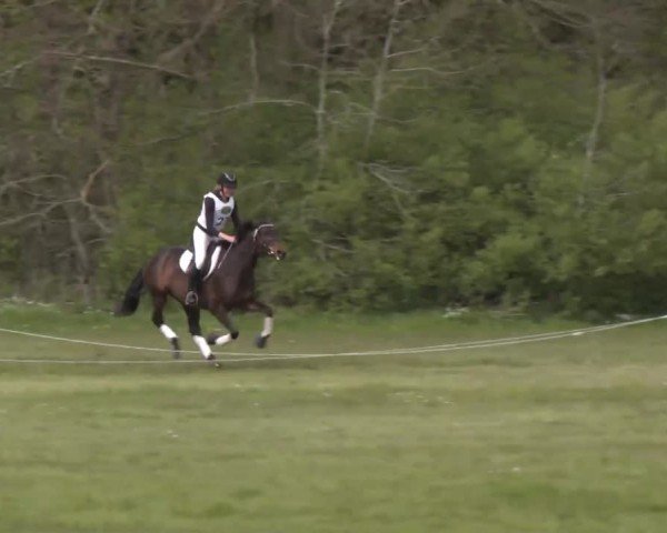 CCI2* Luhmühlen 2024