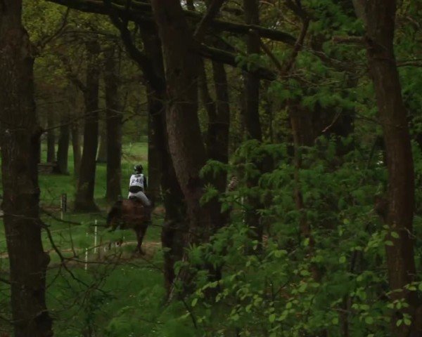 CCI2* Luhmühlen 2024