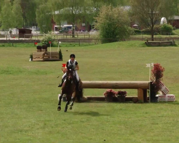 CCI2* Luhmühlen 2024