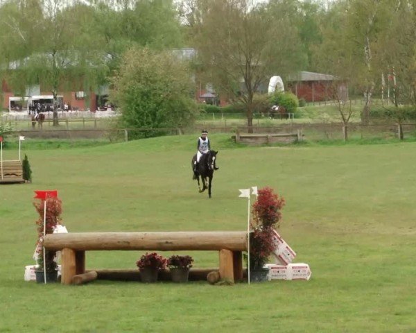 CCI2* Luhmühlen 2024