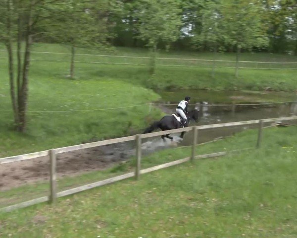 CCI2* Luhmühlen 2024