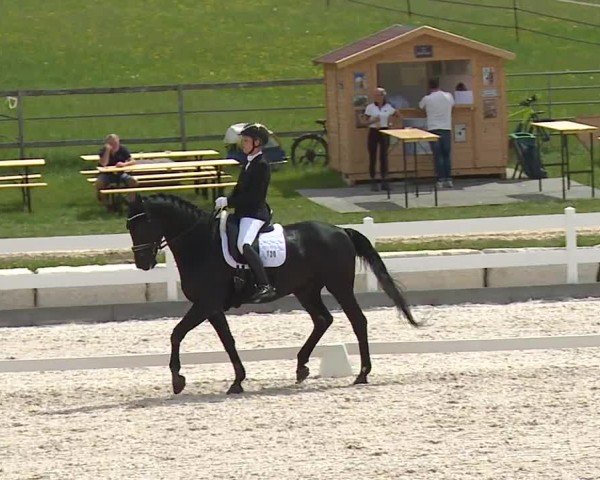 Reitturnier Gut Bohmerhof-Wackersberg/Obb. 2024