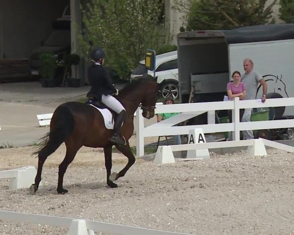 Reitturnier Gut Bohmerhof-Wackersberg/Obb. 2024