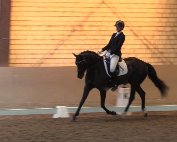 Reitturnier Kamen 2024