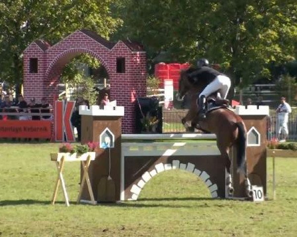 1. ASCANIA-Pferdefestival