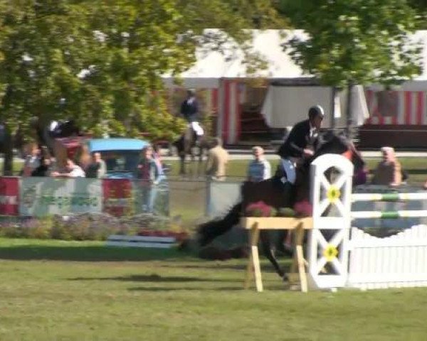 1. ASCANIA-Pferdefestival