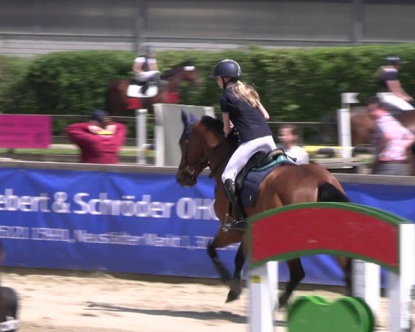 Reitturnier Hildesheim-Steuerwald 2024