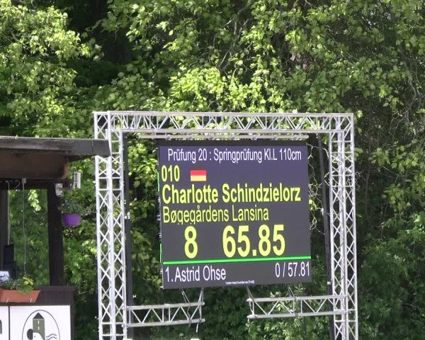Reitturnier Hildesheim-Steuerwald 2024