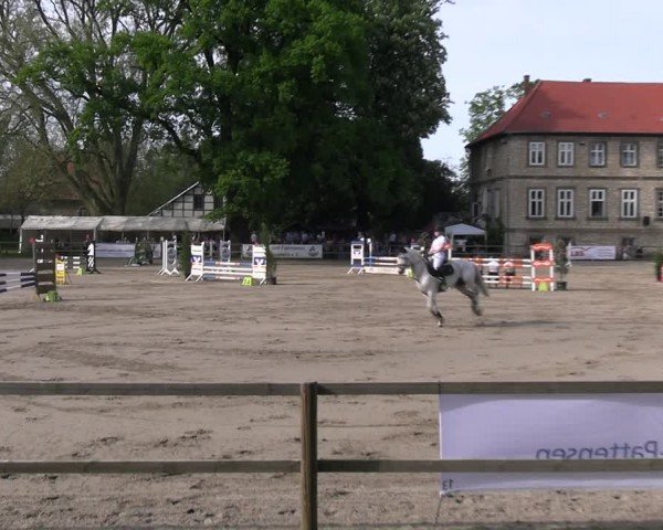 Reitturnier Hildesheim-Steuerwald 2024