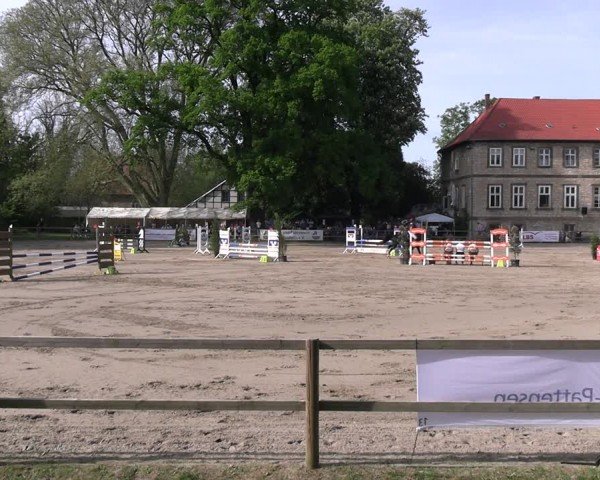 Reitturnier Hildesheim-Steuerwald 2024