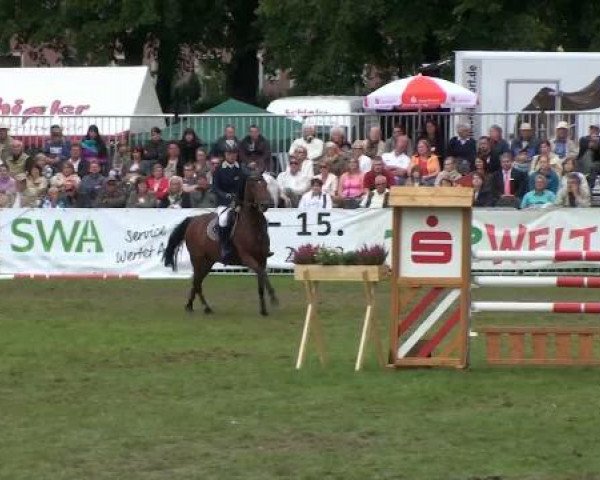 1. ASCANIA-Pferdefestival