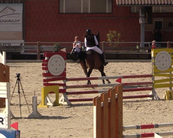 Reitturnier Uder, Reitanlage Kobold 2024