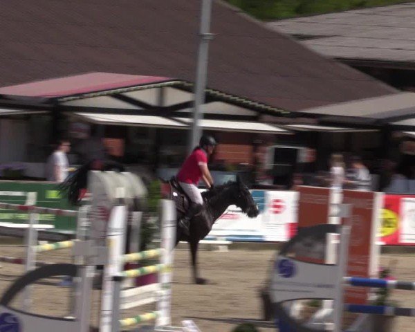 Reitturnier Havixbeck 2024