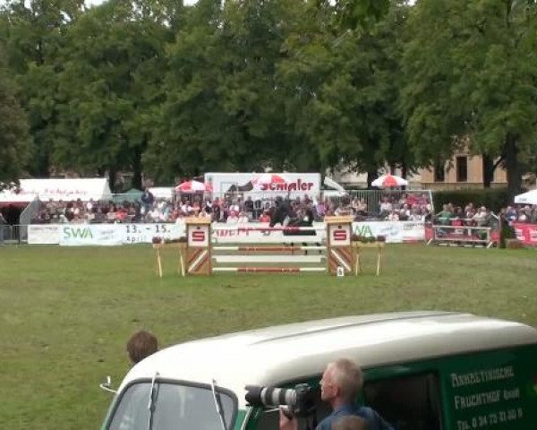 1. ASCANIA-Pferdefestival