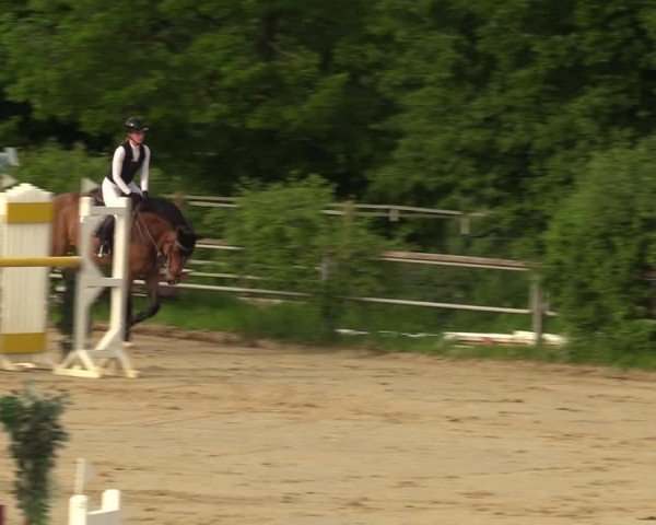 Reitturnier Kamen 2024