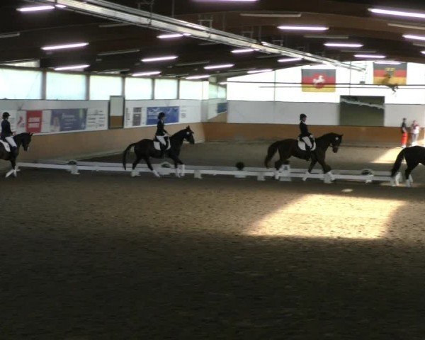 Reitturnier Hildesheim-Steuerwald 2024