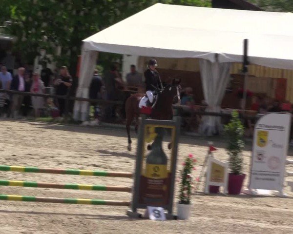 Reitturnier Havixbeck 2024