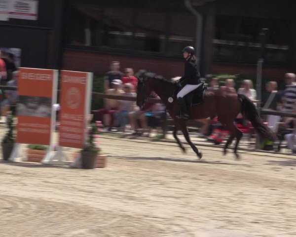 Reitturnier Havixbeck 2024