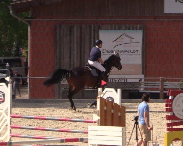 Reitturnier Uder, Reitanlage Kobold 2024