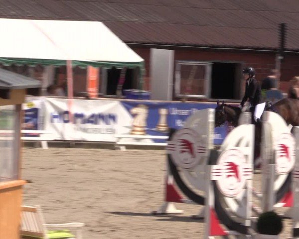 Reitturnier Havixbeck 2024
