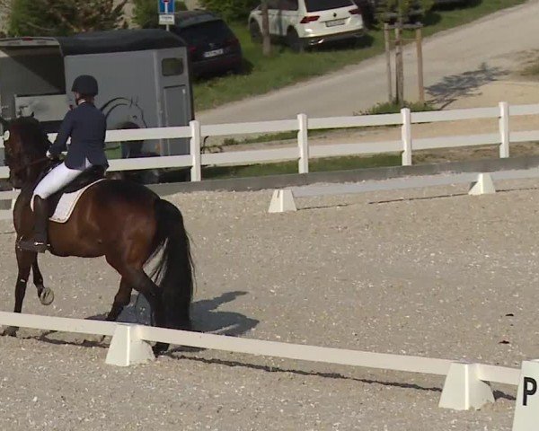 Reitturnier Gut Bohmerhof-Wackersberg/Obb. 2024
