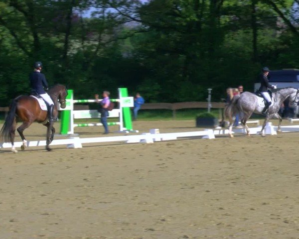 Reitturnier Wesel-Obrighoven 2024