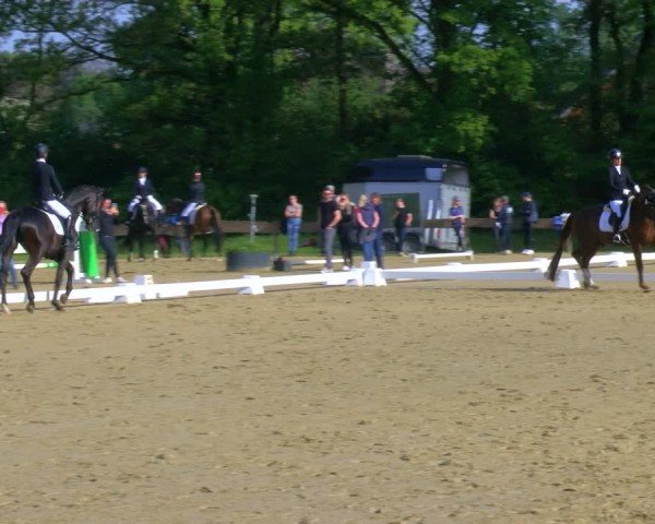 Reitturnier Wesel-Obrighoven 2024