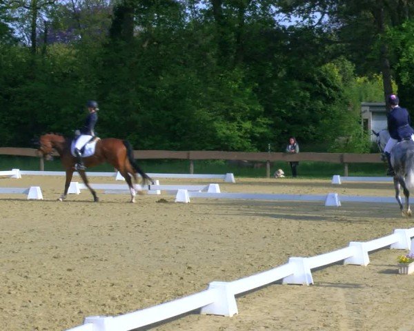 Reitturnier Wesel-Obrighoven 2024