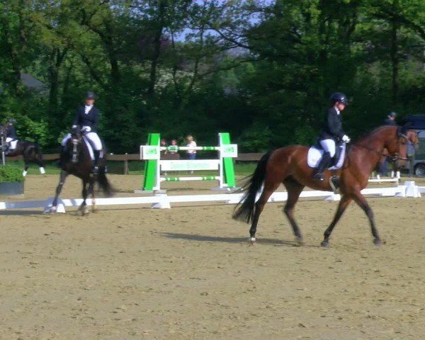 Reitturnier Wesel-Obrighoven 2024