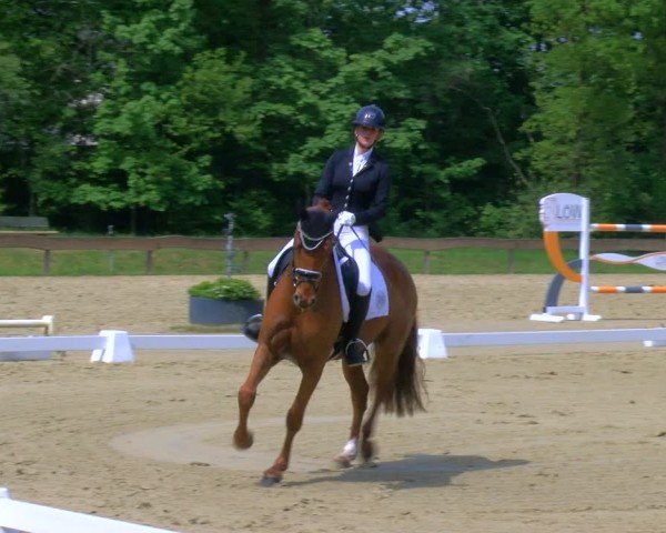 Reitturnier Wesel-Obrighoven 2024