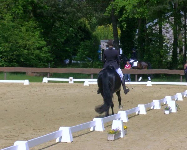 Reitturnier Wesel-Obrighoven 2024