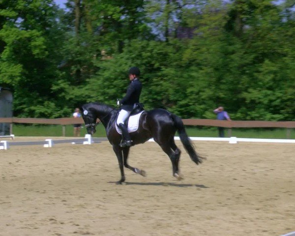Reitturnier Wesel-Obrighoven 2024
