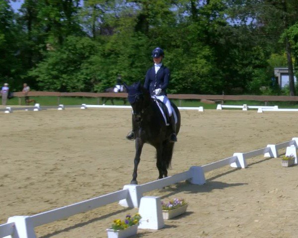 Reitturnier Wesel-Obrighoven 2024