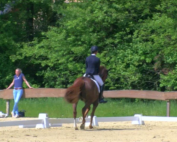 Reitturnier Wesel-Obrighoven 2024
