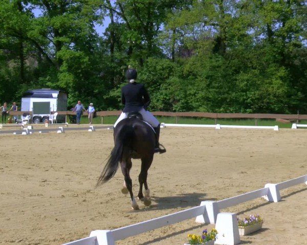Reitturnier Wesel-Obrighoven 2024