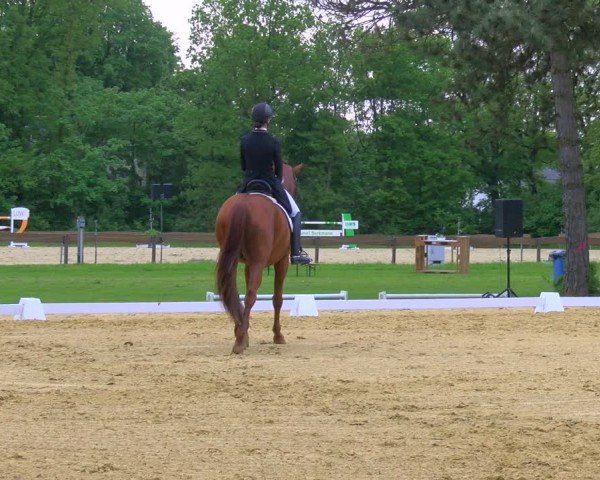 Reitturnier Wesel-Obrighoven 2024