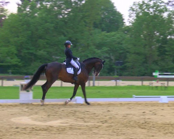 Reitturnier Wesel-Obrighoven 2024