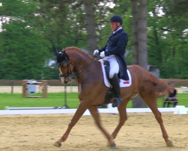 Reitturnier Wesel-Obrighoven 2024