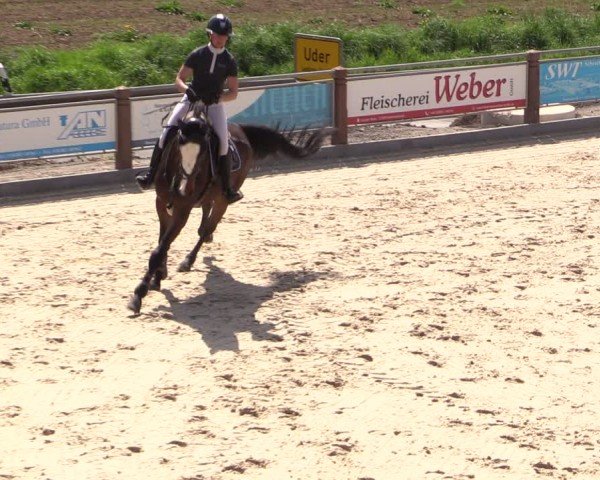 Reitturnier Uder, Reitanlage Kobold 2024