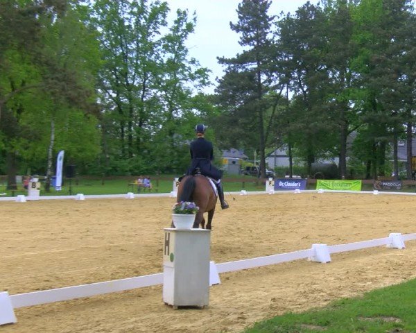 Reitturnier Wesel-Obrighoven 2024