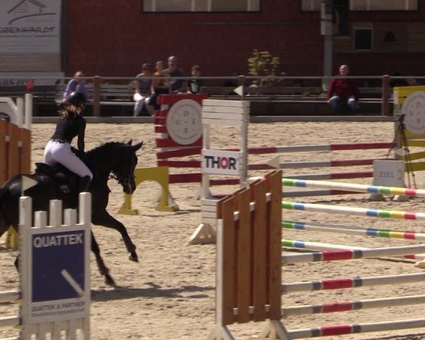 Reitturnier Uder, Reitanlage Kobold 2024
